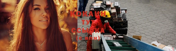 ПСИЛОЦИБИНОВЫЕ ГРИБЫ Верхний Тагил
