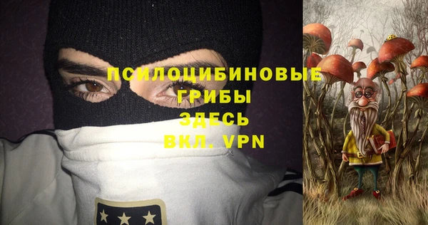ПСИЛОЦИБИНОВЫЕ ГРИБЫ Верхний Тагил