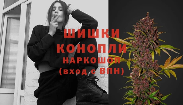 ПСИЛОЦИБИНОВЫЕ ГРИБЫ Верхний Тагил