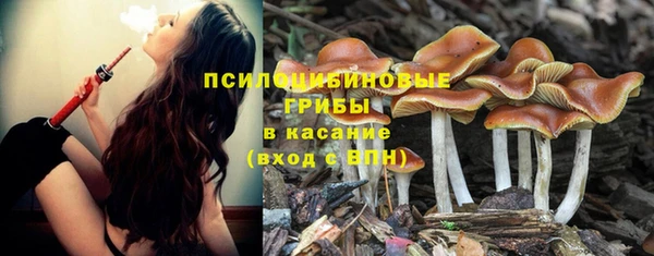 ПСИЛОЦИБИНОВЫЕ ГРИБЫ Верхний Тагил